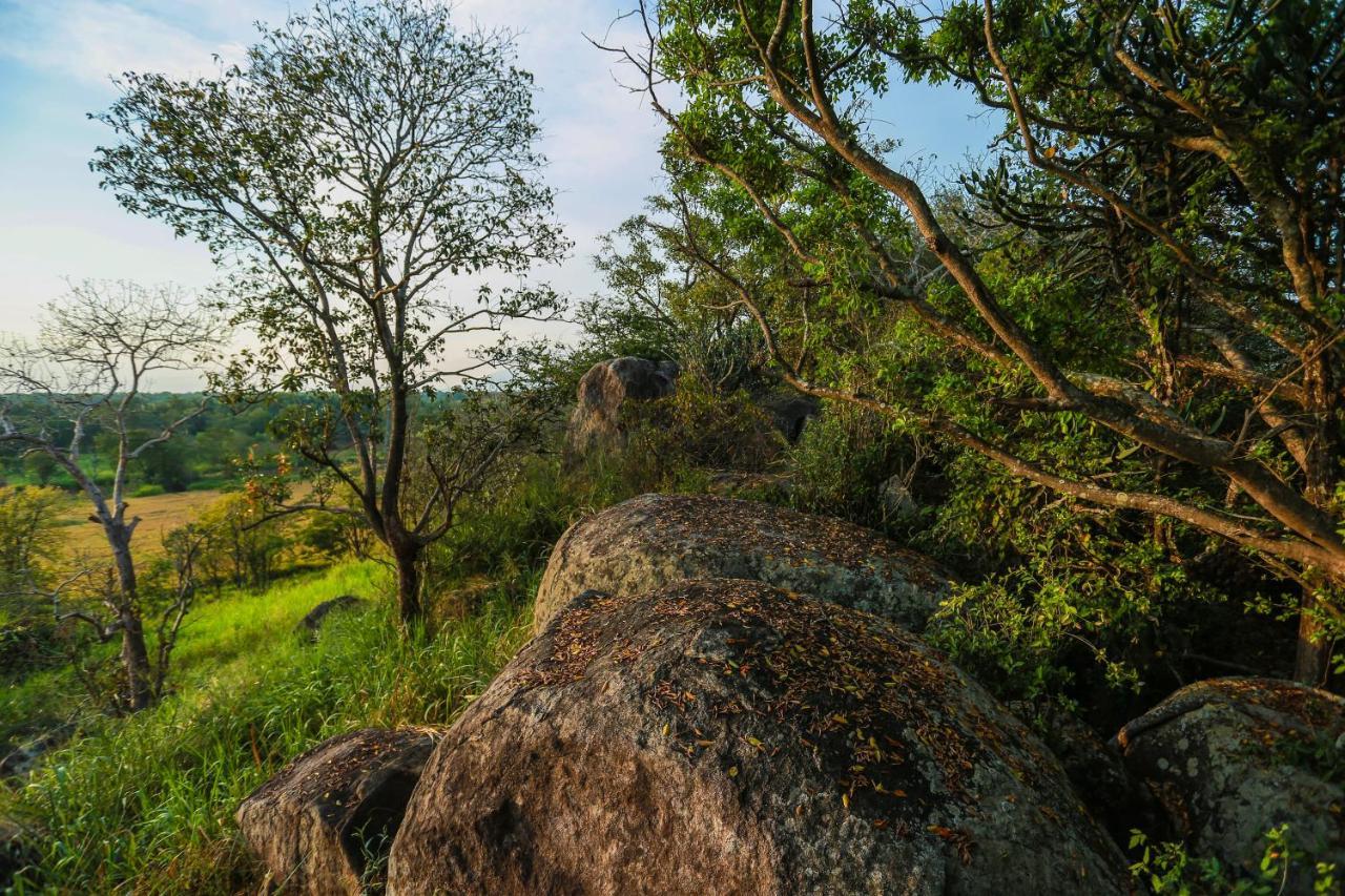 Kaveri Resort Sigiriya Exterior photo